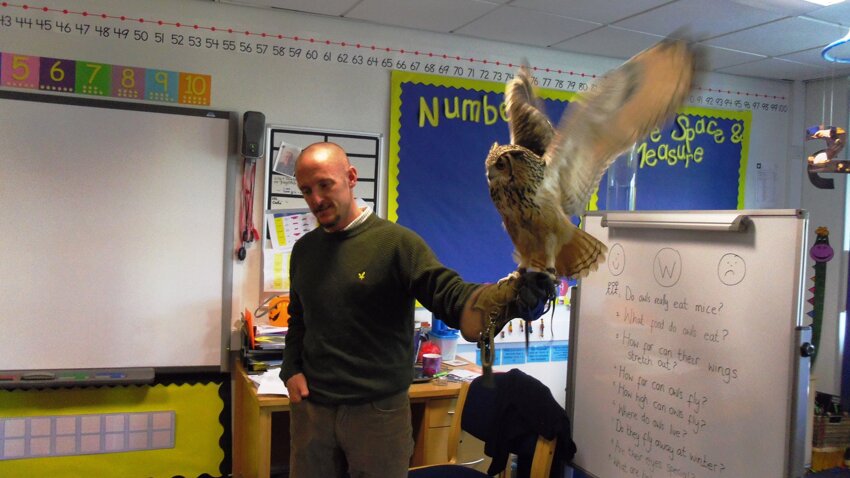 Image of Biscuit the owl visits our Reception Classes