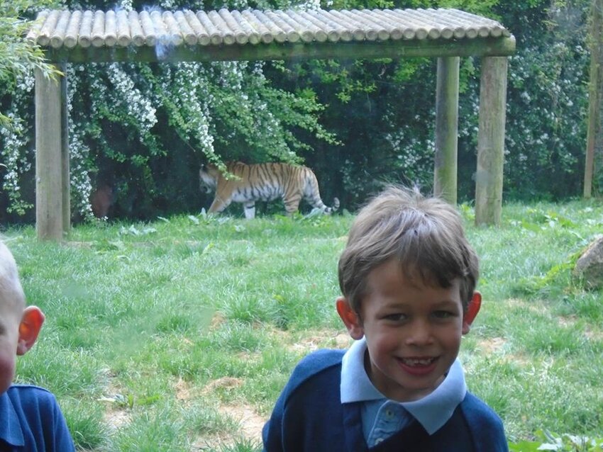 Image of Year 1 Visit Port Lympne Zoo